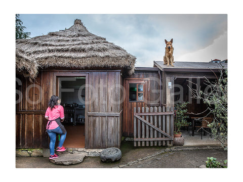 Watch dog, La Gomera