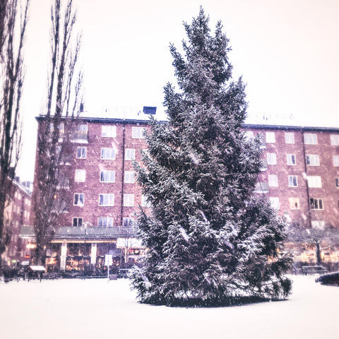 Julgran / Christmas Tree