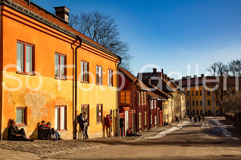 Nytorgshäng i februari (Stockholm)