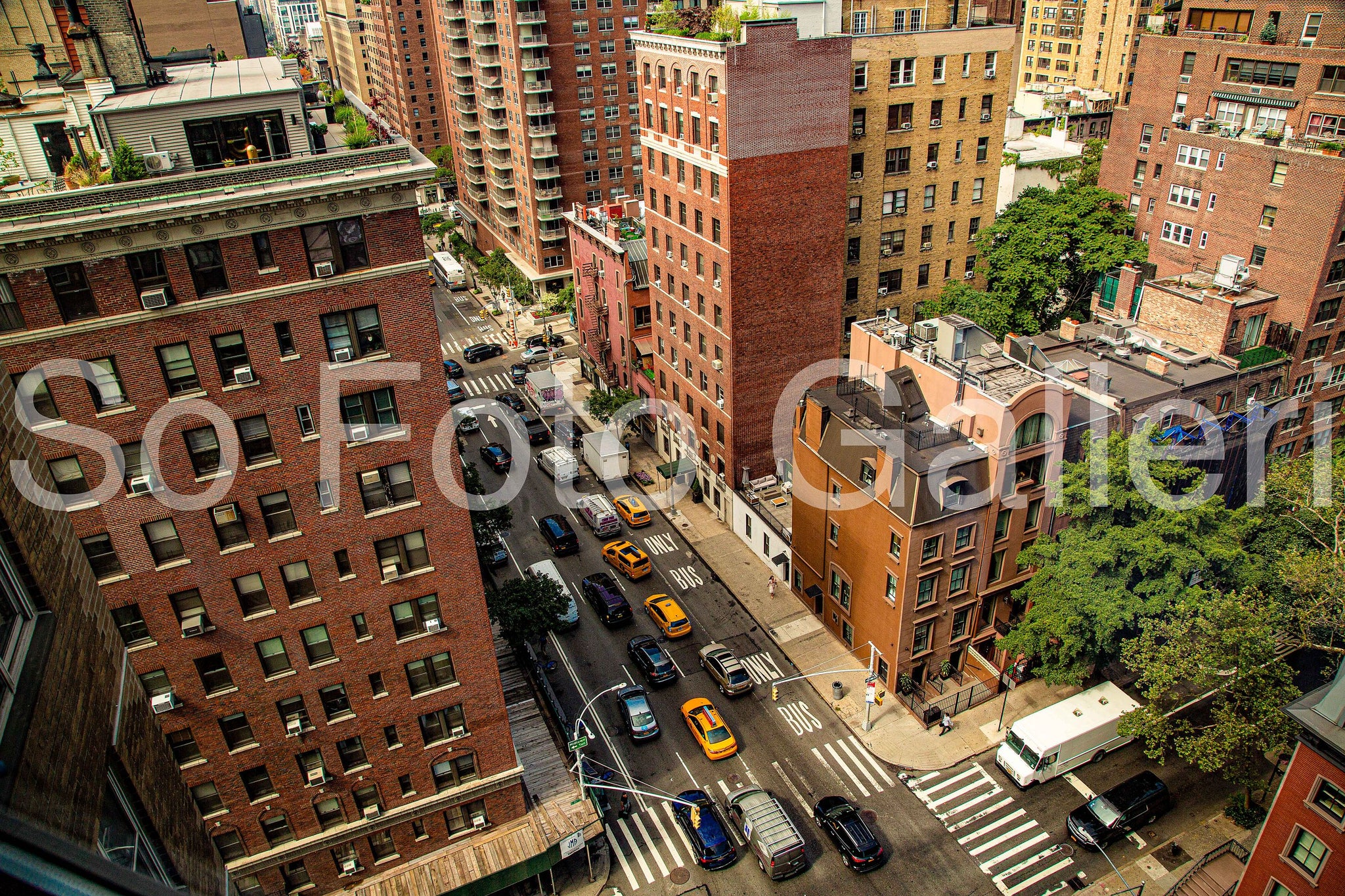 Usual Traffic (New York)